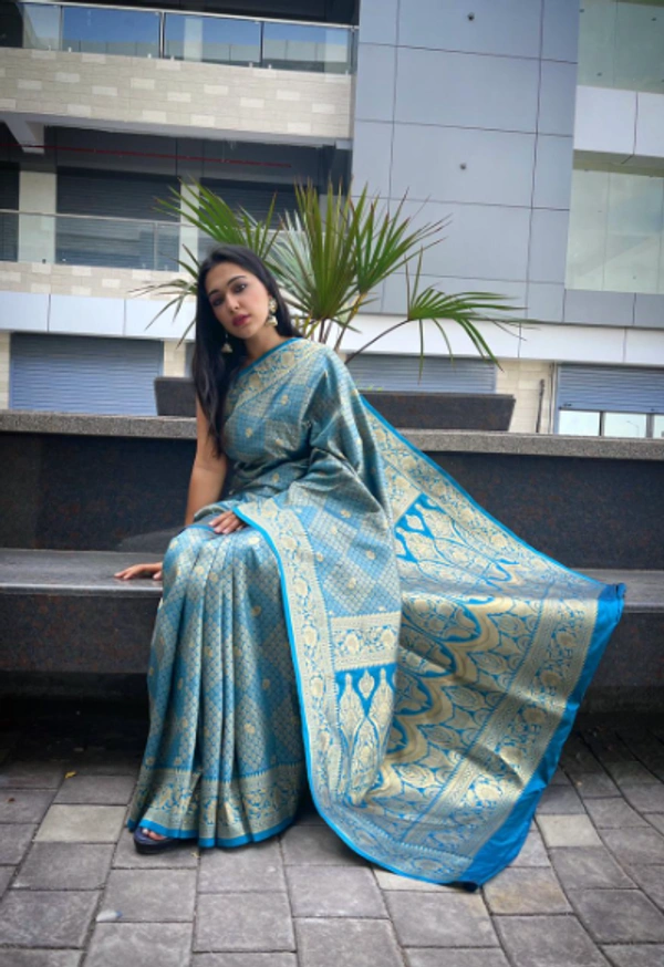 pure Kanjivaram Soft Silk collections